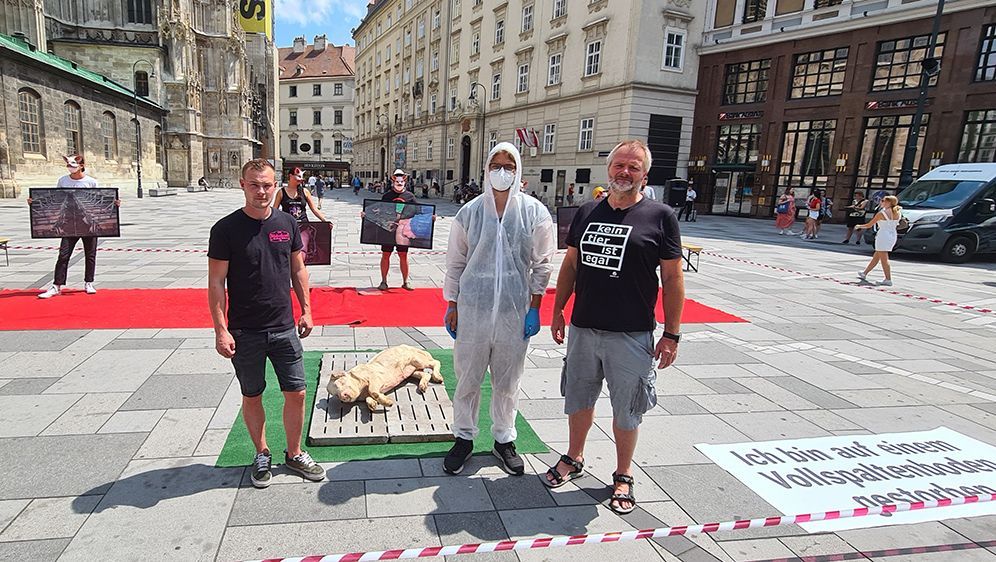 Tierschützer Martin setzt sich aktiv für Tiere ein und demonstriert auf der Straße. Kann Schlachter Michael seine Seite verstehen?