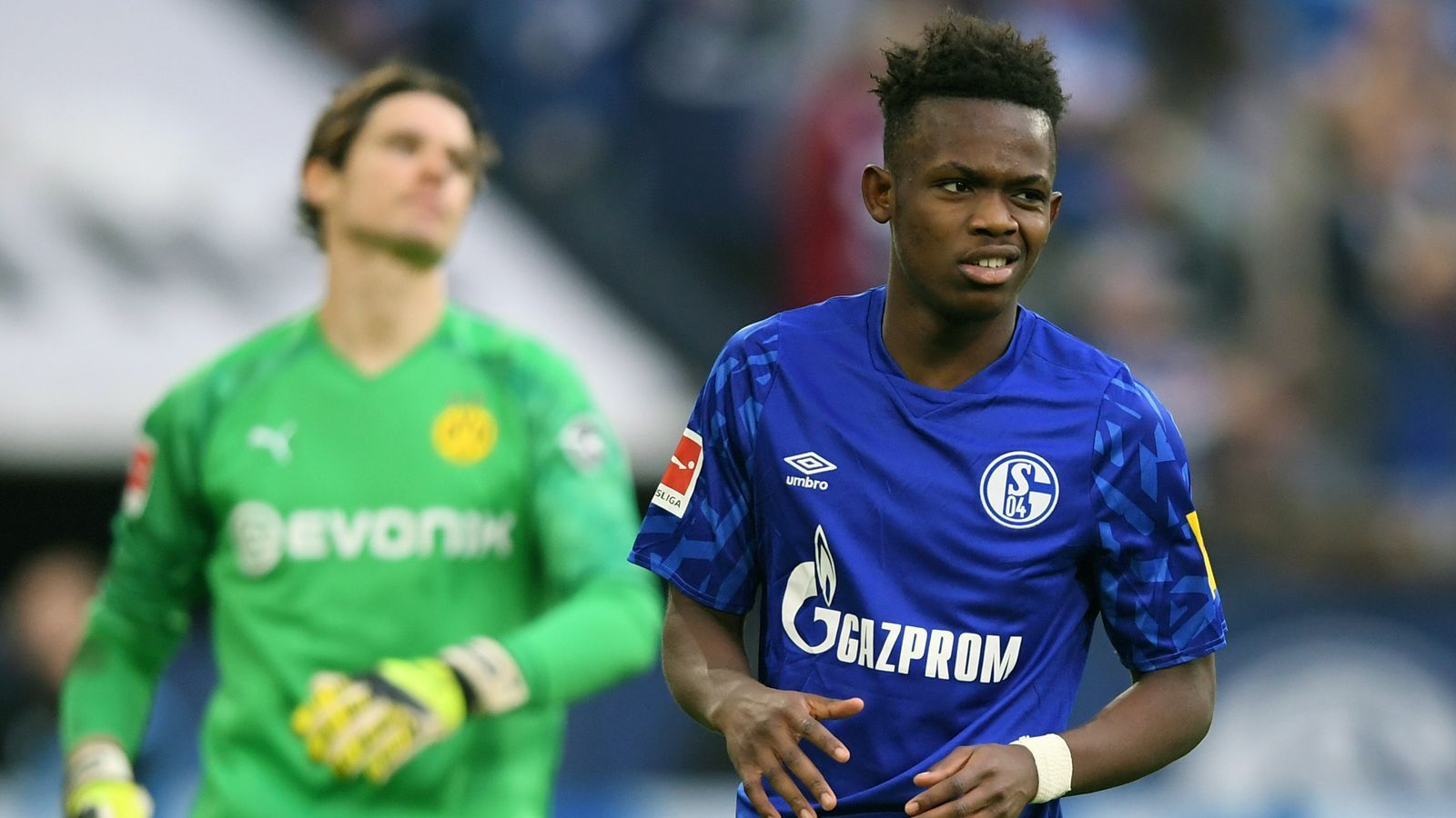 
                <strong>Rabbi Matondo</strong><br>
                Verein: FC Schalke 04Position: Rechtsaußen
              