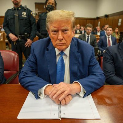  Donald Trump, ehemaliger und zukünftiger Präsident der USA
