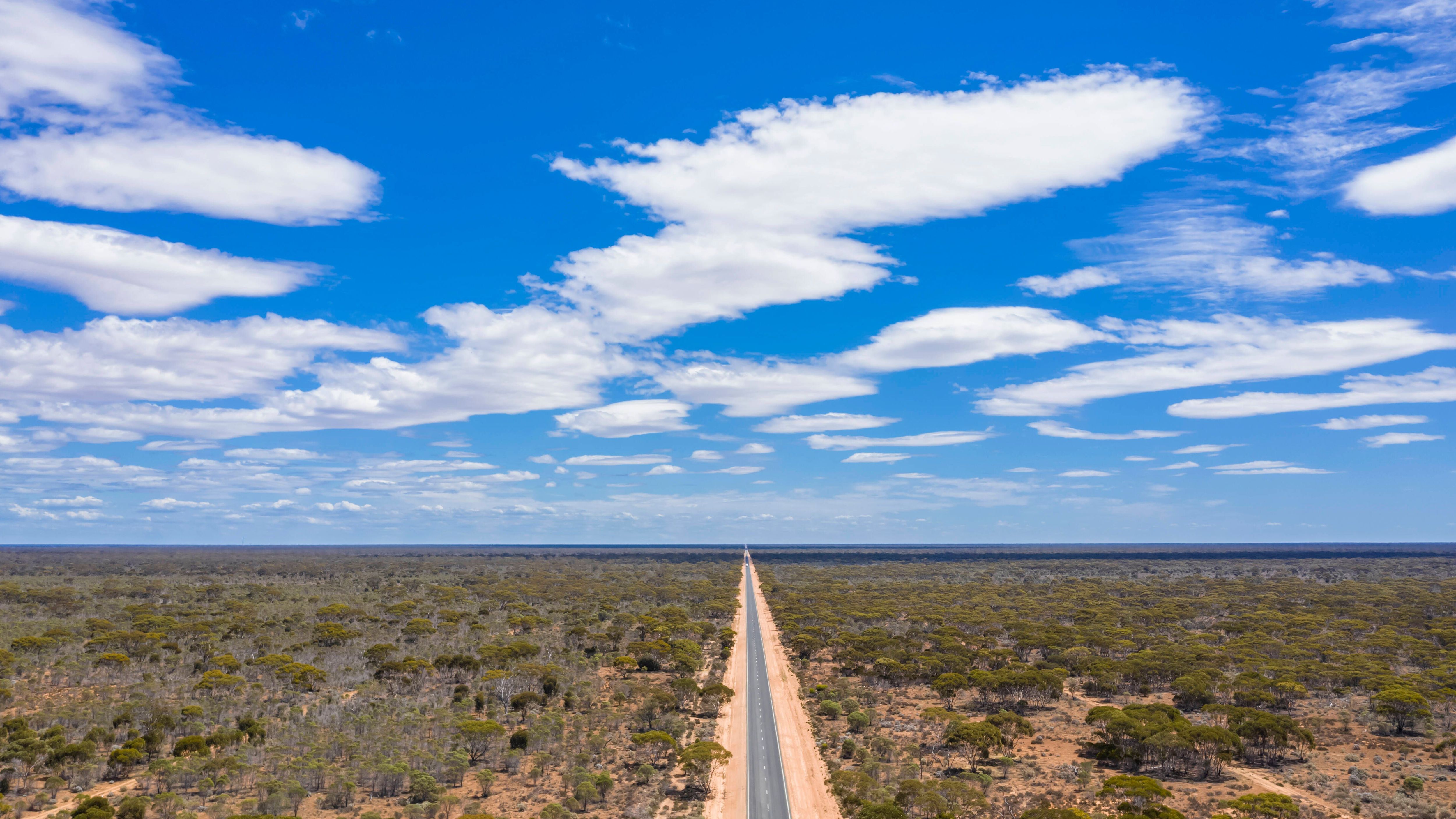 Die längste gerade Straße der Welt ist in Australien. Den Eyre Highway fahren - das kann todlangweilig sein. Die Gefahr hier: Sekundenschlaf. Auch Kängurus können einem vors Auto springen.