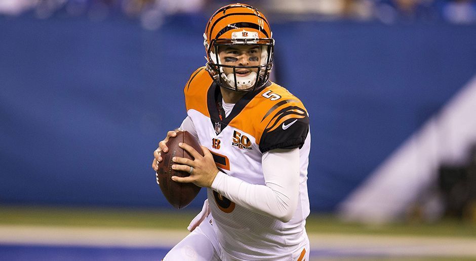 
                <strong>Cincinnati Bengals: AJ McCarron</strong><br>
                Viertes NFL-JahrDrei Spiele als Starter854 Career-Passing-Yards6 Touchdowns, 2 Interceptions
              