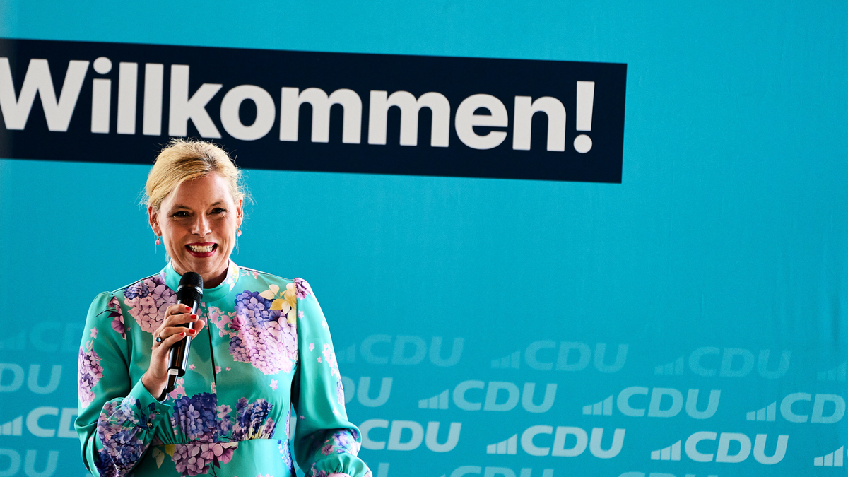 Linke fordert Klöckner zum Rücktritt auf
