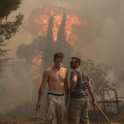 Freiwillige versuchen einen Waldbrand in Nea Penteli zu löschen.