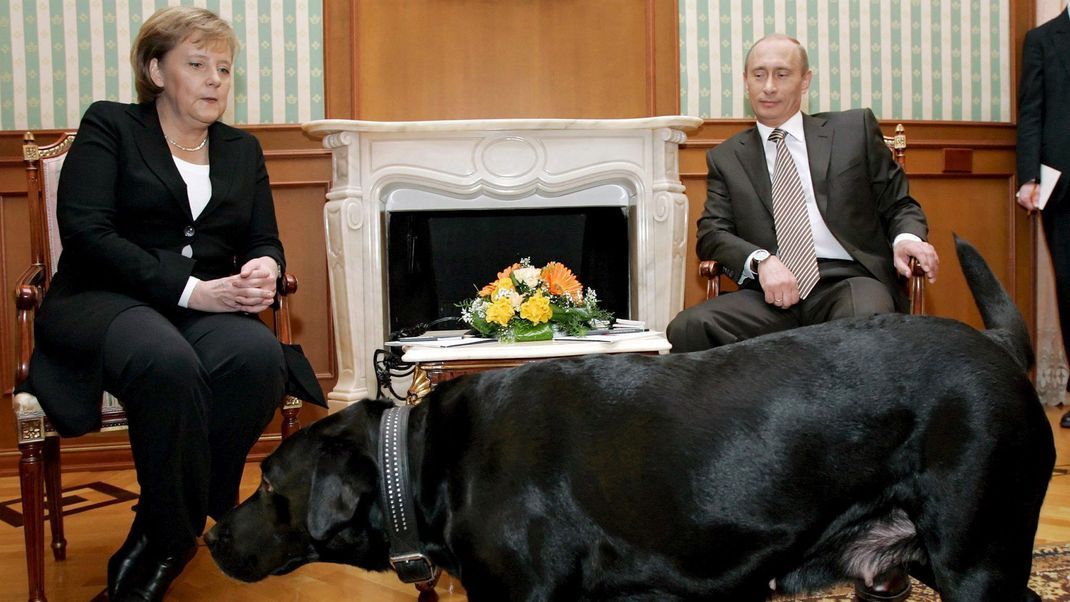 Bei einem Treffen zwischen Merkel und Putin war auch dessen Hund dabei.