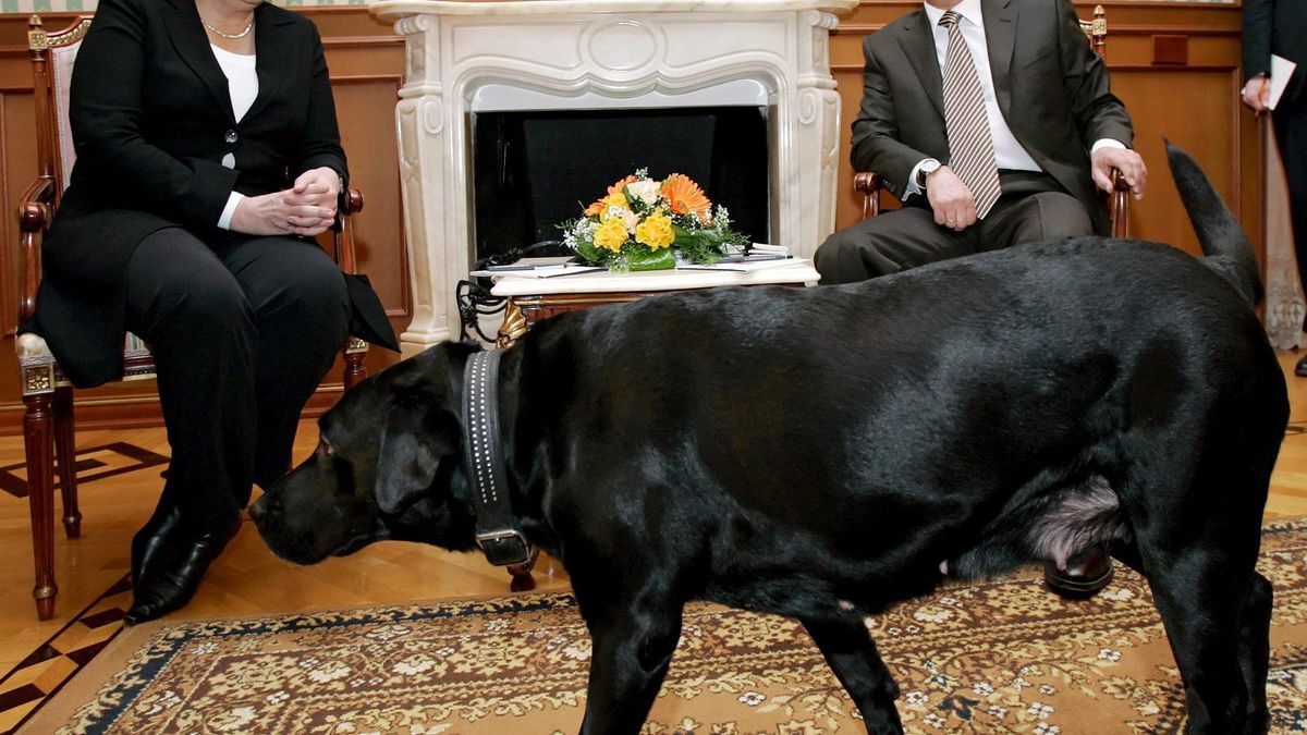 Politiker und ihre Hunde
