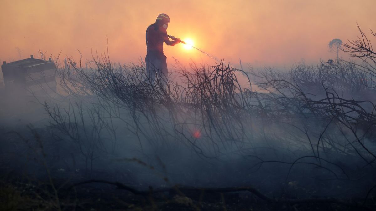 Nahe Athen: Ein Feuerwehrmann versucht, Flammen unter Kontrolle zu bringen. 