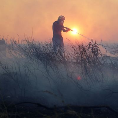 Nahe Athen: Ein Feuerwehrmann versucht, Flammen unter Kontrolle zu bringen. 
