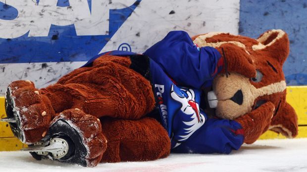 
                <strong>Udo der Hamster (Adler Mannheim)</strong><br>
                Das Maskottchen des Eishockey-Klubs Adler Mannheim legte sich im September 2015 mit den gegnerischen Fans an. Den Schwenninger Anhängern zeigte Udo nicht nur den Stinkefinger, sondern schob auch die Hüfte vor und zurück. Zu viel für die Adler. "Dieses Verhalten war inakzeptabel. Wir haben uns bei Schwenningen entschuldigt und die Agentur verständigt, dass wir den Herrn nicht mehr sehen wollen", hieß es damals. Zumindest der Hamster selbst durfte als Maskottchen bleiben.
              