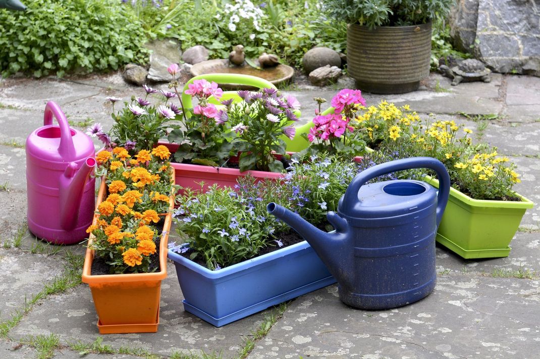 Ob Ton in Ton oder kunterbunt: Beim Bepflanzen der Blumenkästen kann jeder selbst entscheiden, welche Farb-Kombi ihm am besten gefällt.