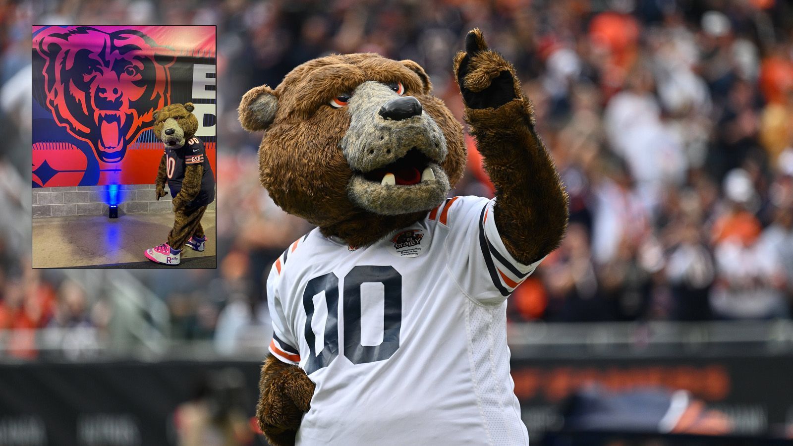 
                <strong>Staley da Bear</strong><br>
                Nicht nur Menschen tragen in Woche 13 besonderes Schuhwerk - auch Staley da Bear, Maskottchen der Chicago Bears macht bei der Aktion der NFL mit. Er richtet die Aufmerksamkeit auf die "Rolfe Foundation", die sich um Menschen mit Bauchspeicheldrüsenkrebs kümmert. 
              