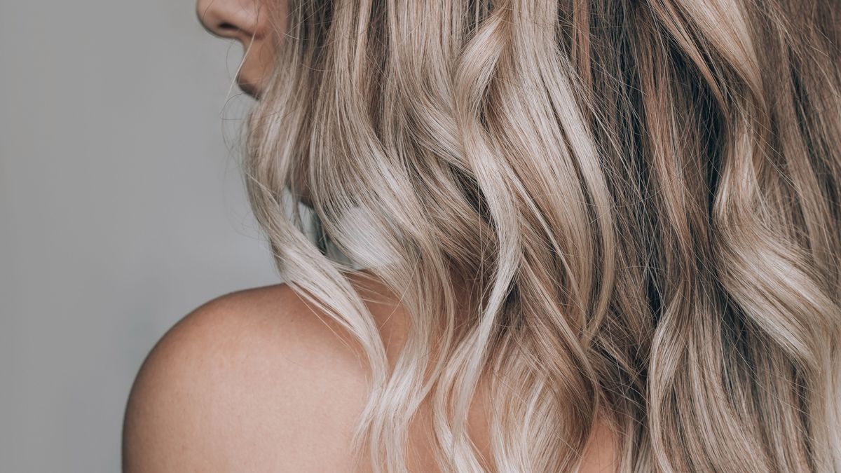 Close-up of the wavy blonde hair of a young blonde woman isolated on a gray background. Result of coloring, highlighting, perming. Beauty and fashion