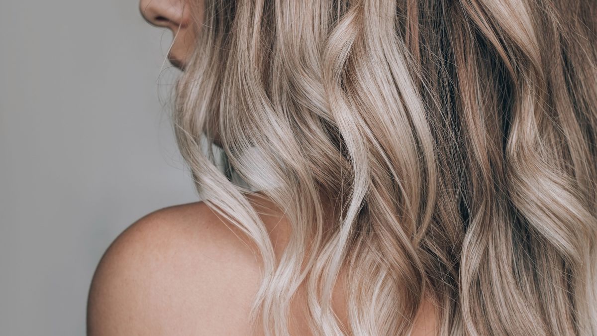 Close-up of the wavy blonde hair of a young blonde woman isolated on a gray background. Result of coloring, highlighting, perming. Beauty and fashion