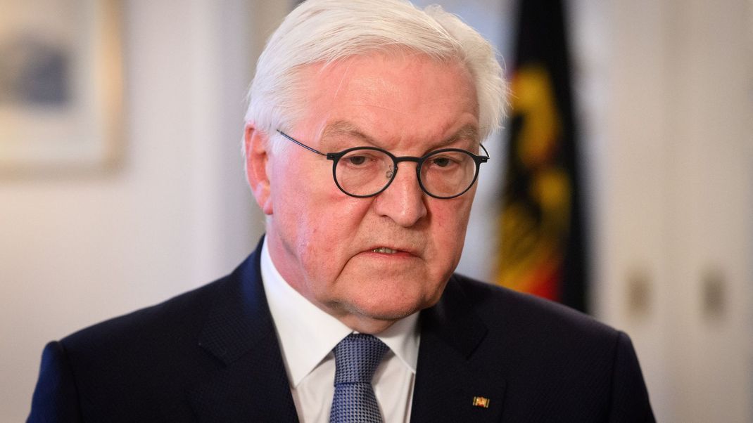 Bundespräsident Frank-Walter Steinmeier