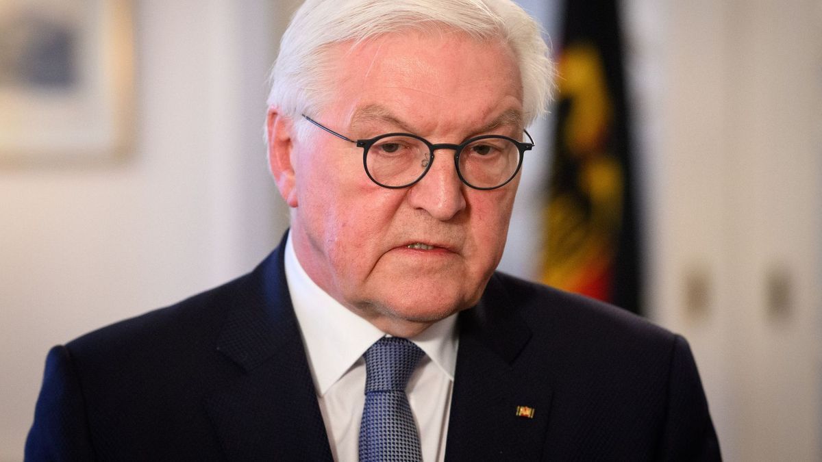 Bundespräsident Steinmeier