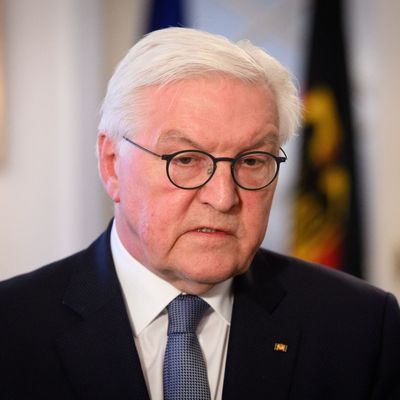 Bundespräsident Steinmeier