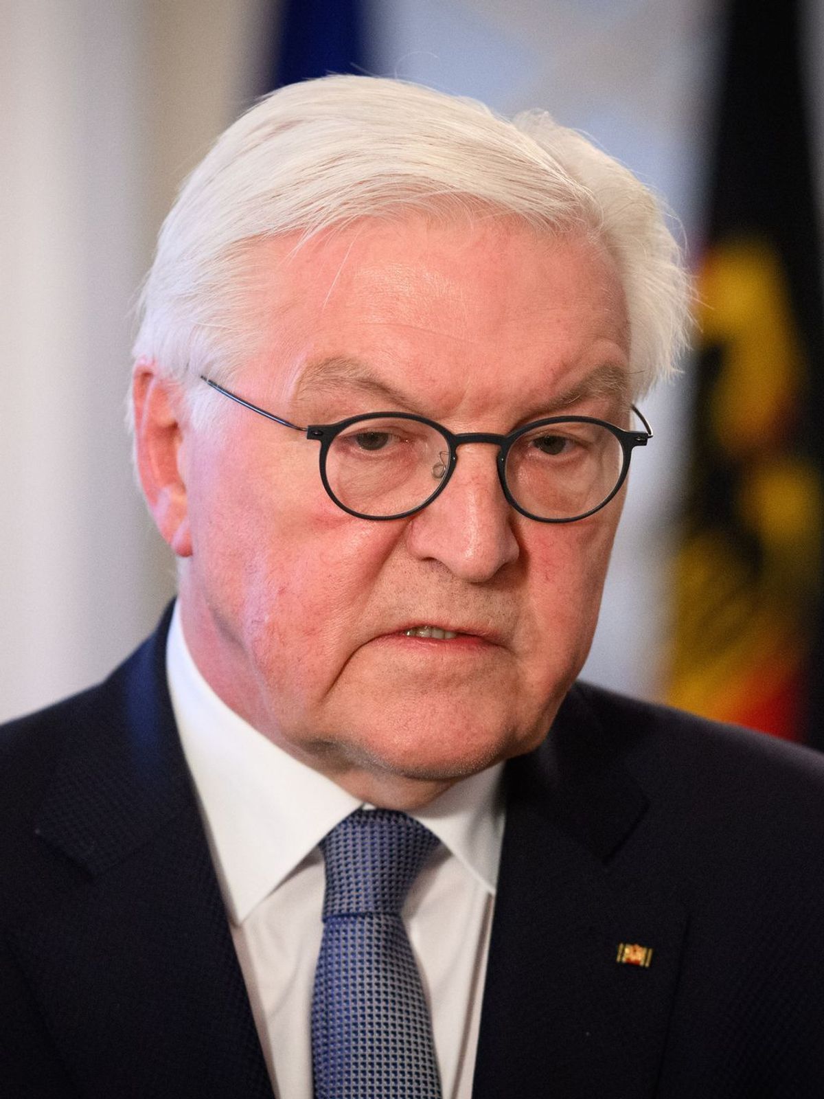 Bundespräsident Steinmeier