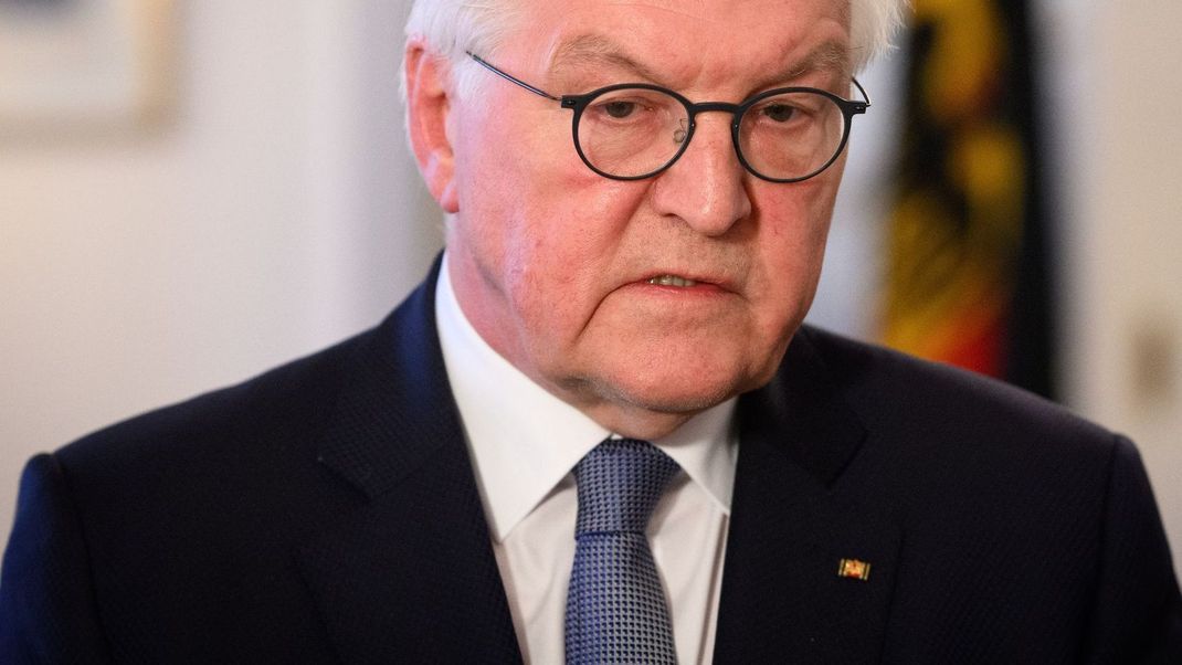 Bundespräsident Steinmeier