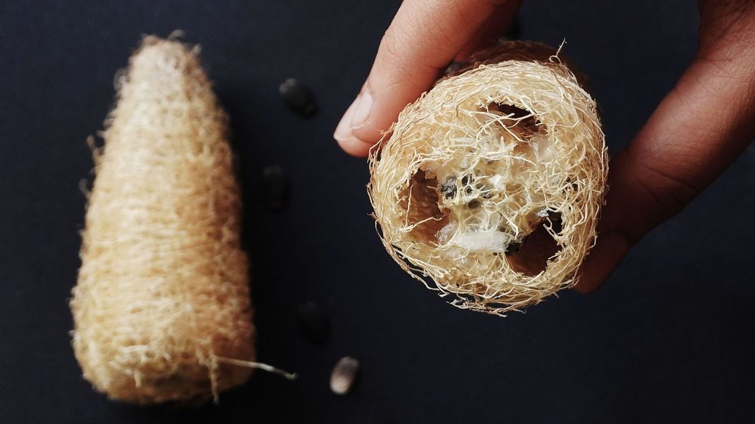 Luffa-Schwämme sind Naturprodukte.