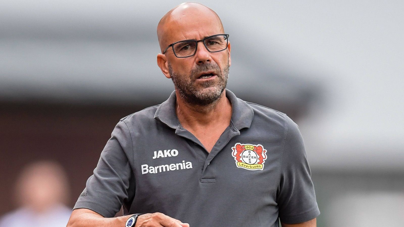 
                <strong>Peter Bosz (Bayer Leverkusen)</strong><br>
                Wettquote: 20/1
              