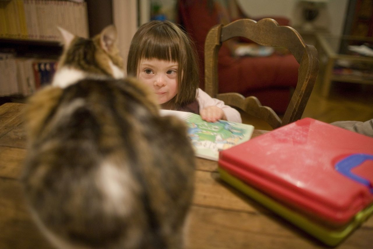 Auch Katzen werden therapeutisch eingesetzt, vor allem bei Kindern und Jugendlichen.