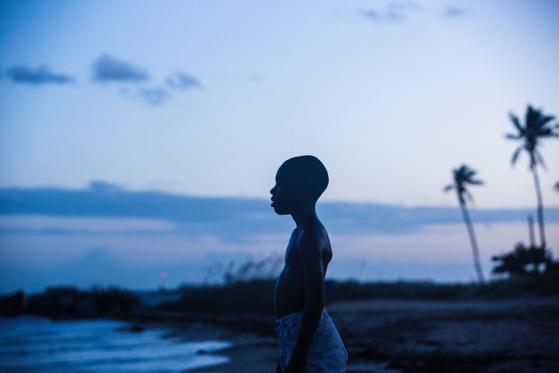 "Moonlight" (2016): Dieses Drama erzählt die Geschichte des homosexuellen Afroamerikaners Chiron und seines Kampfs gegen Rassismus und Homophobie. Ein überfälliger und wichtiger Film, der schockiert und zu Tränen rührt. Völlig zu recht wurde er bei den Oscars 2017 zum besten Film des Jahres gekürt. Das heimliche Highlight: Mahershala Ali als liebevoller Ziehvater.