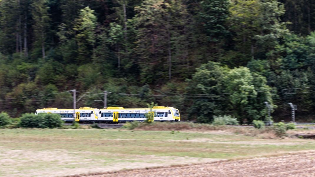 Eine mutmaßlich verwirrte Frau soll im Zug Menschen angegriffen haben.