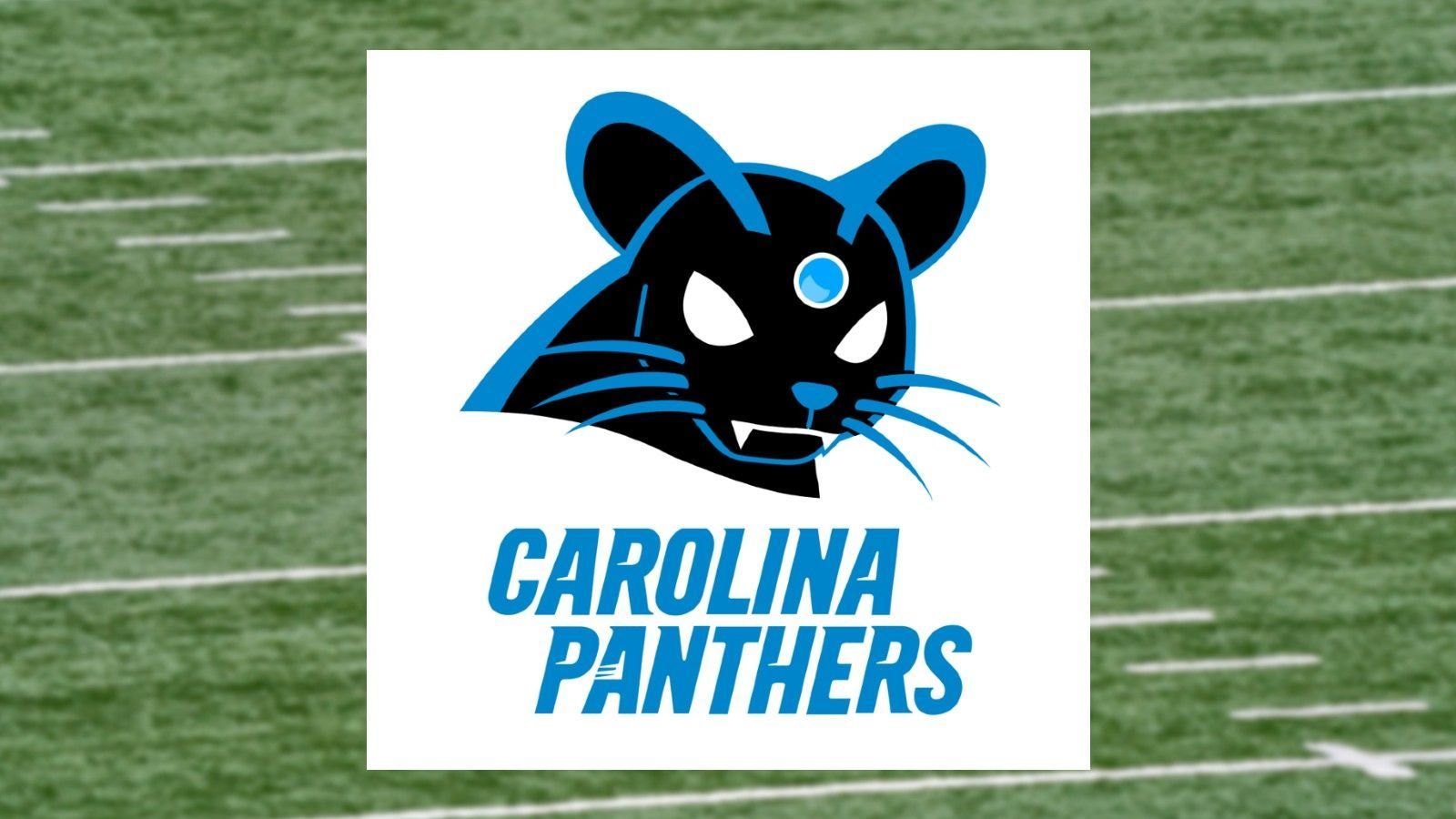 
                <strong>Carolina Panthers</strong><br>
                Pokemon: Snobilikat
              