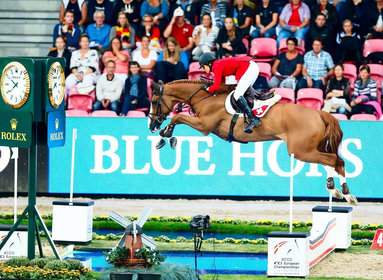 13,5 Millionen Euro zahlte Springreiter Jan Tops 2013 für den Hengst Palloubet d'Halong. Damit gilt das Pferd als teuerstes Pferd aller Zeiten.