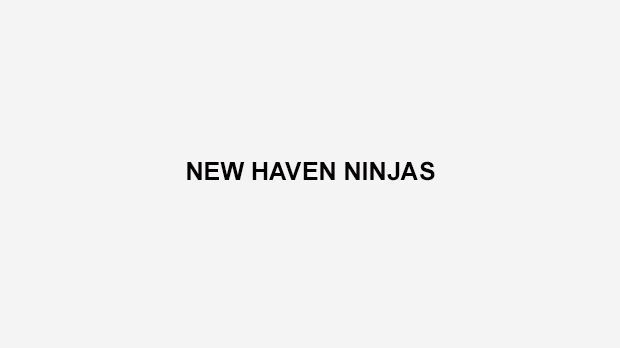 
                <strong>New Haven Ninjas</strong><br>
                Von 2001 bis 2002 spielten die New Haven Ninjas in der amerikanischen zweiten Arena Football League (AFL2). Der Arena-Football ist die Indoor-Version des American Footballs. Die Ninjas mussten nach nur einem Jahr den Spielbetrieb wieder einstellen, nachdem ihre Spielstätte, das New Haven Coliseum in Connecticut, geschlossen wurde.
              