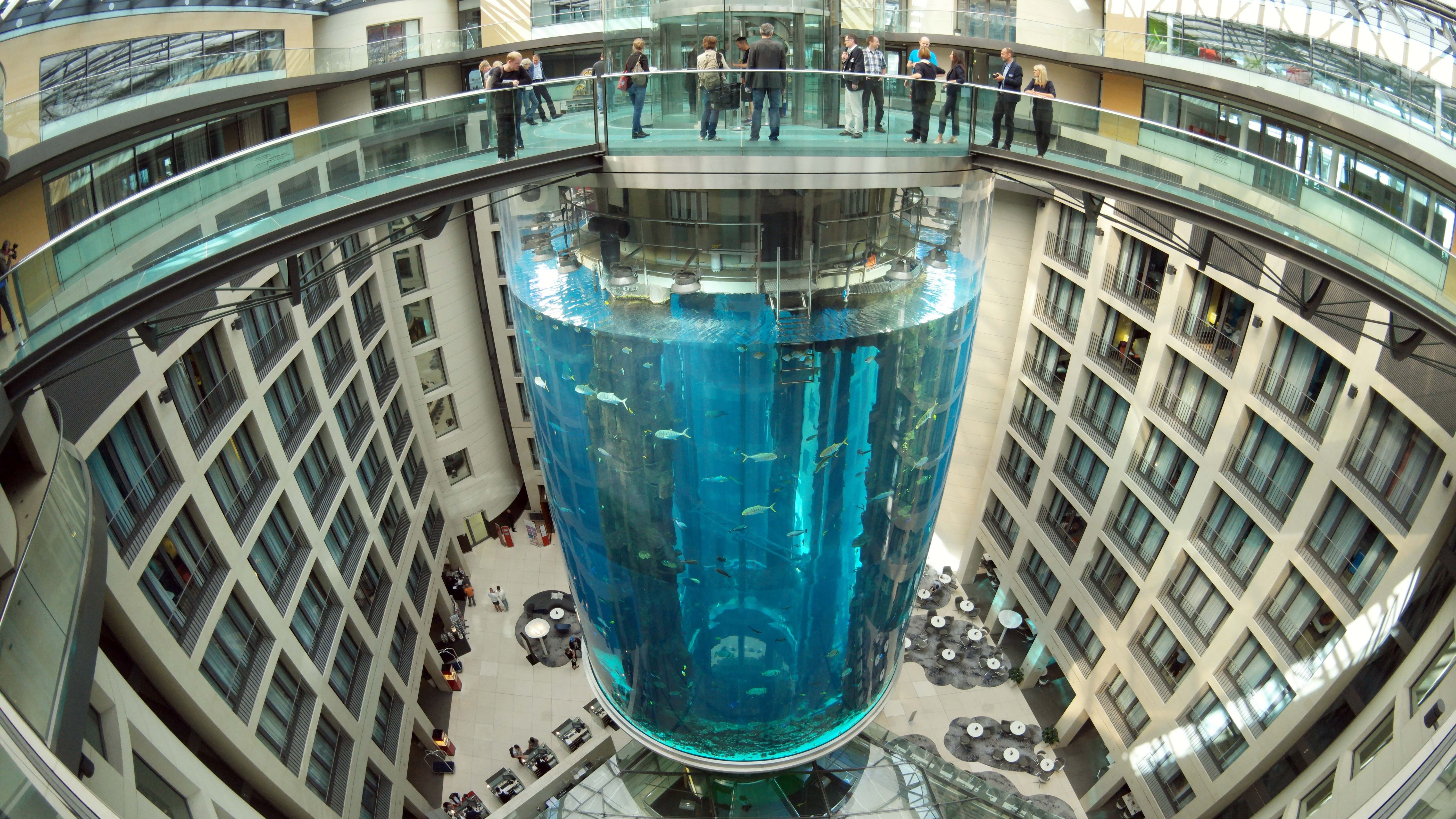 Da war er noch ganz: Der AquaDom im Sea Life ist das größte freistehende zylindrische Aquarium der Welt.
