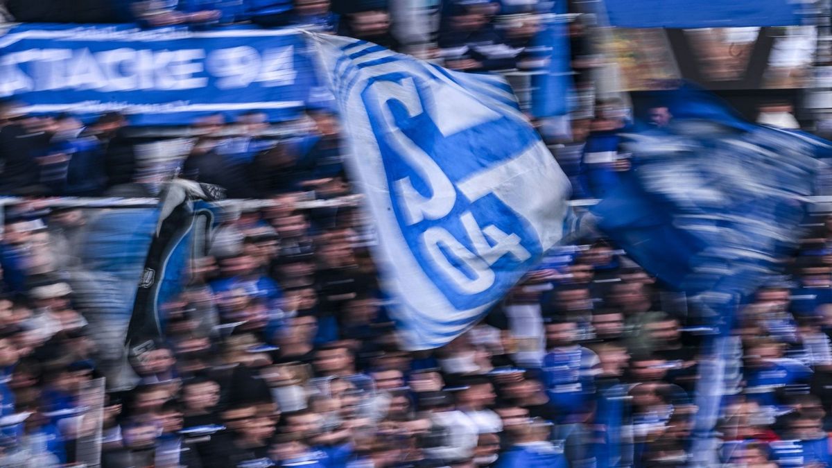 Auch Schalker waren involviert