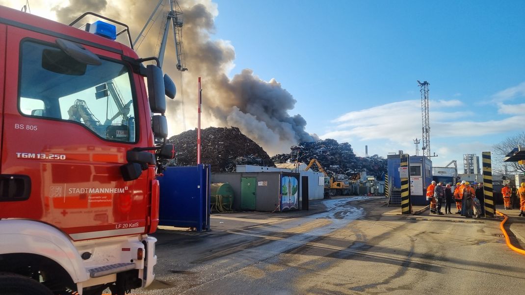 Einsatzkräfte der Feuerwehr löschen den Brand auf einem Recyclinghof. Über der Stadt Mannheim steigt eine schwarze Rauchsäule empor.