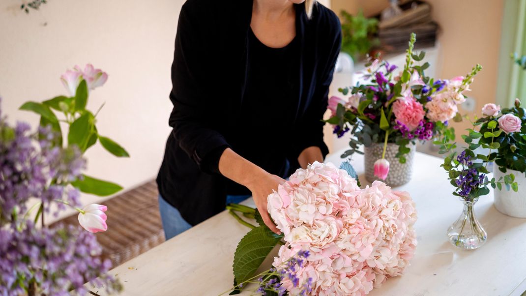 Die ersten zarten Blumen läuten den Frühling ein - eine charmante Ankunft im Mai!