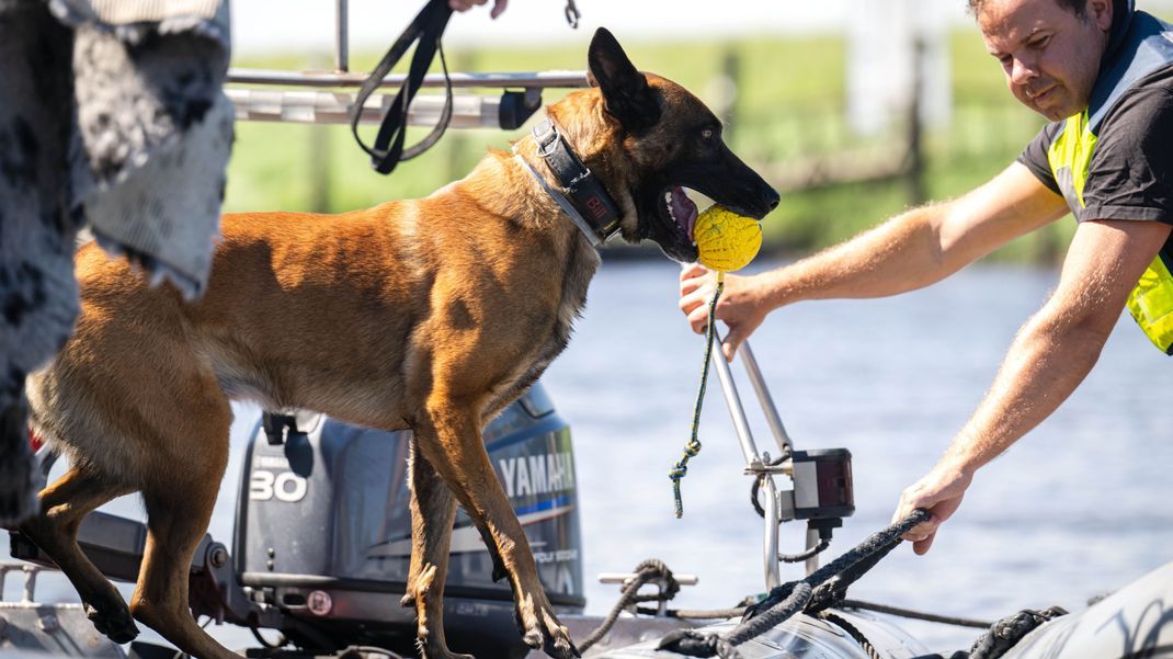 Einsatzkräfte der Polizei fahren mit Spürhunden auf Schlauchbooten über die Oste.&nbsp;