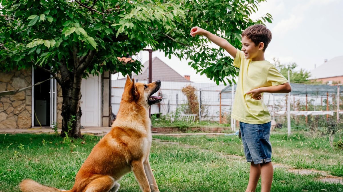 Wann finden uns Tiere sympathisch?