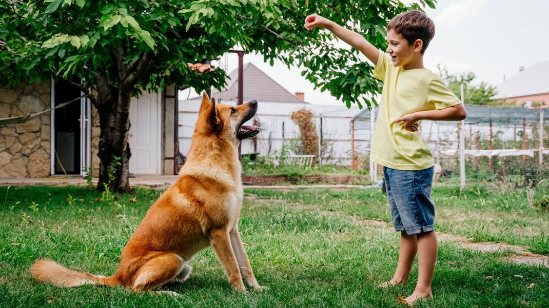 Warum können Hunde manche Menschen gut leiden und andere scheinbar gar nicht? Wir klären, ob es bestimmte Bedingungen gibt, unter denen uns Tiere sympathisch finden. 