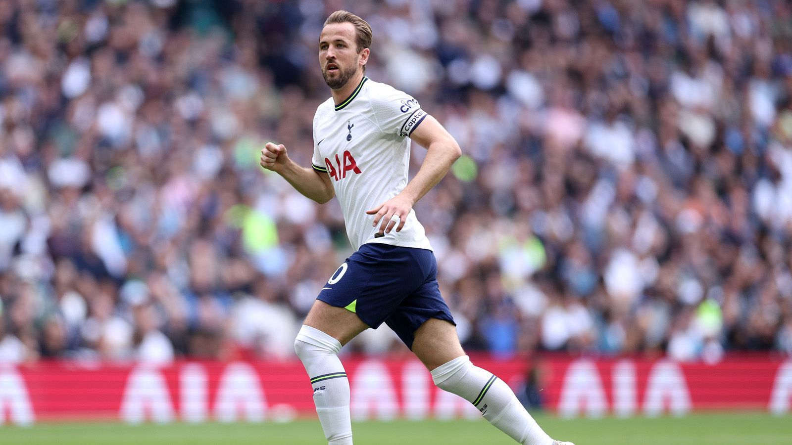 
                <strong>Geteilter Platz 2: Harry Kane (Tottenham Hotspur)</strong><br>
                Tore: 28Ligafaktor Premier League: 2Punkte: 56
              