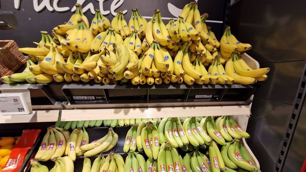 Je nachdem, wie Bananen gelagert werden, setzt der Reifeprozess schneller und lansgsamer ein. Wenn sie in der Kälte oder beispielsweise Äpfeln gelagert werden, so werden die Tropenfrüchte wegen des Hormones Ethylen schneller bräunlich.