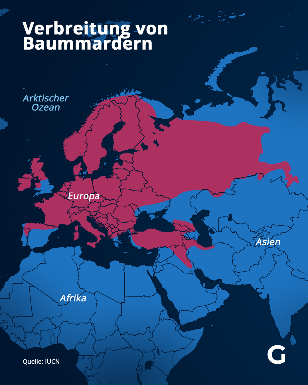 Baummarder leben in Europa sowie in Asien.