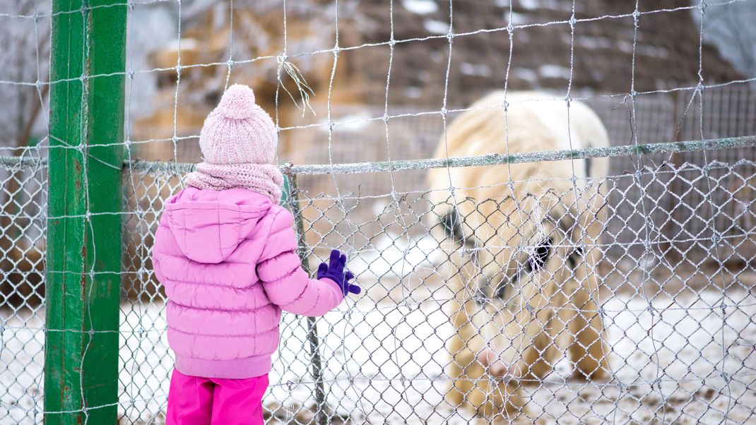 Auch im Winter lohnt sich ein Besuch im Tierpark!