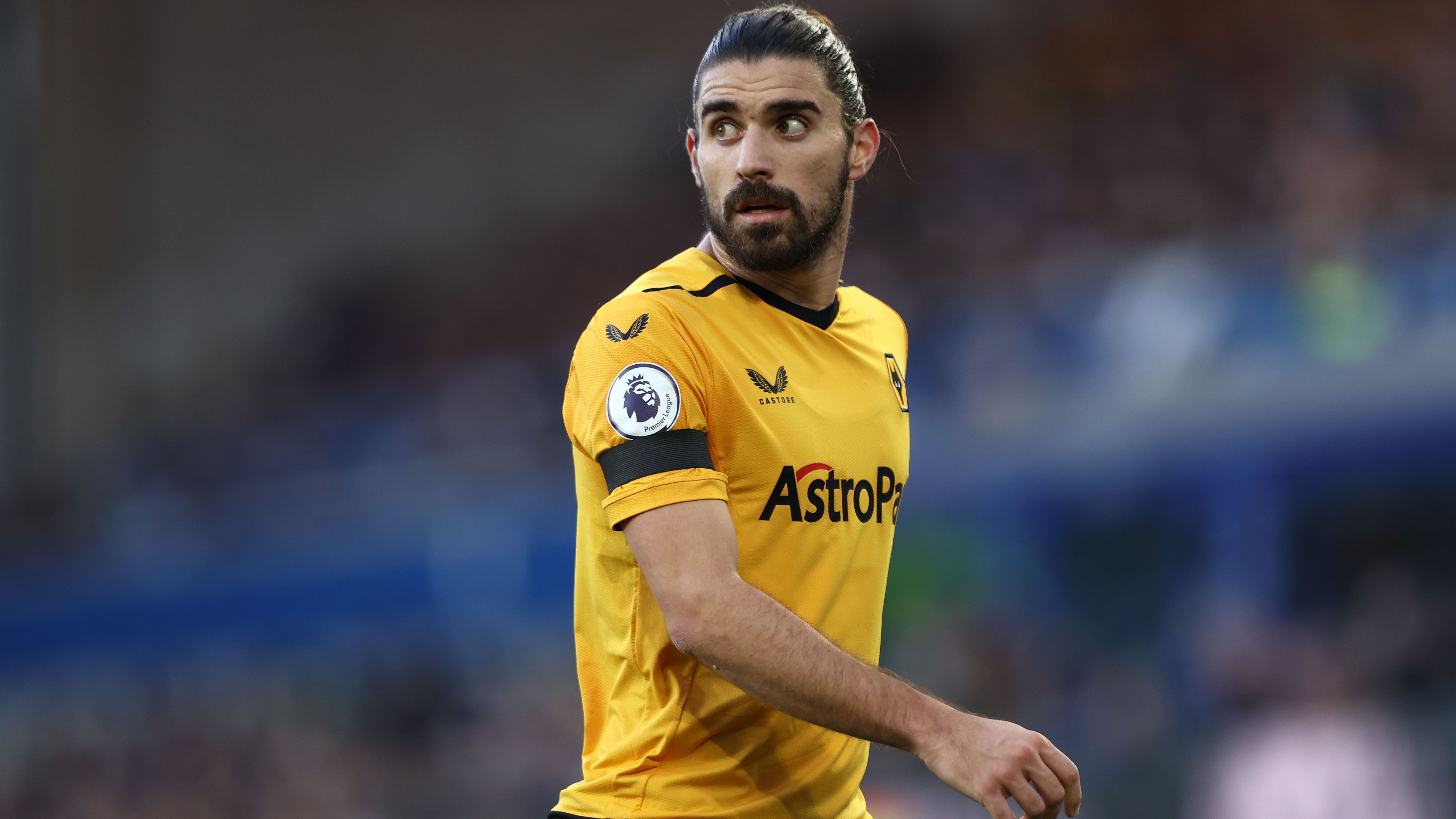 
                <strong>Platz 14: Wolverhampton Wanderers</strong><br>
                Wert: 264 Millionen Euro 
              