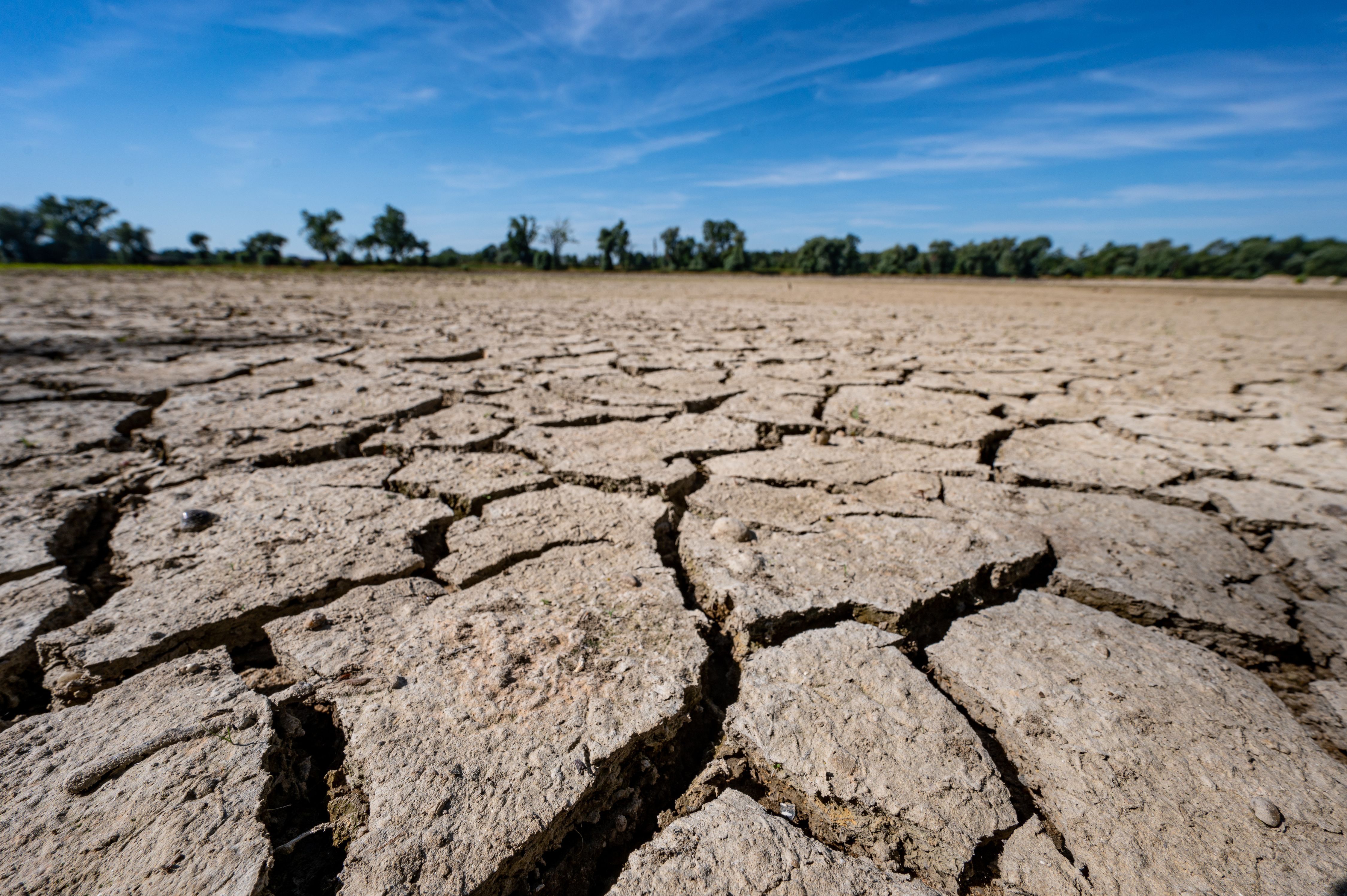 Weltklimarat: Drastische Schritte Gegen Klimawandel | P7 Newstime