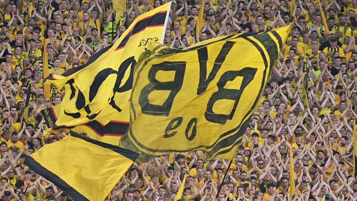 BVB