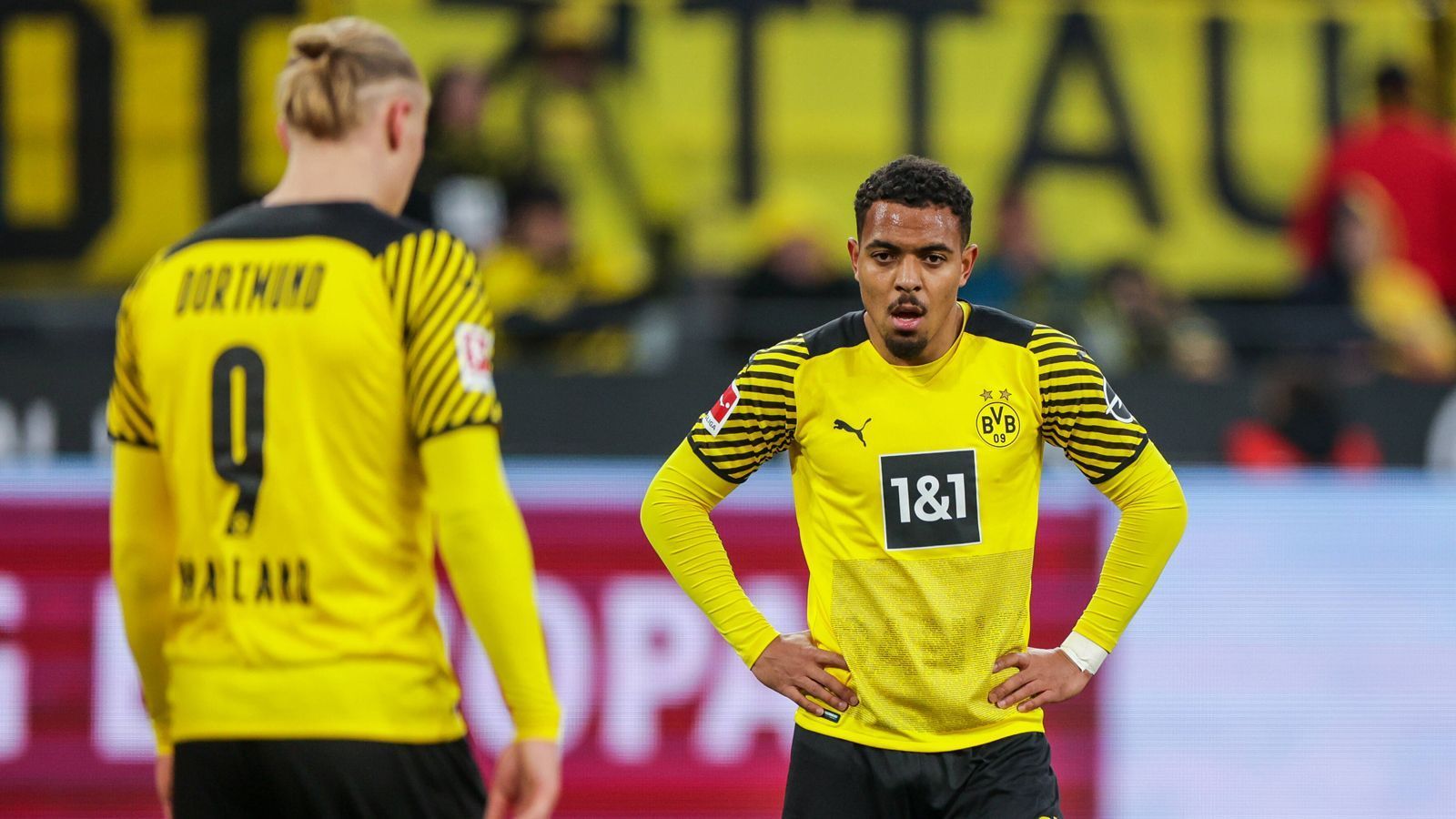 
                <strong>Platz 3 (geteilt): Donyell Malen (kam von der PSV Eindhoven)</strong><br>
                &#x2022; Saison: 2021/2022<br>&#x2022; Ablösesumme: 30 Millionen Euro<br>&#x2022; Spiele/Tore/Assists für den BVB: 51/8/10<br>&#x2022; Aktueller Verein: Borussia Dortmund<br>
              