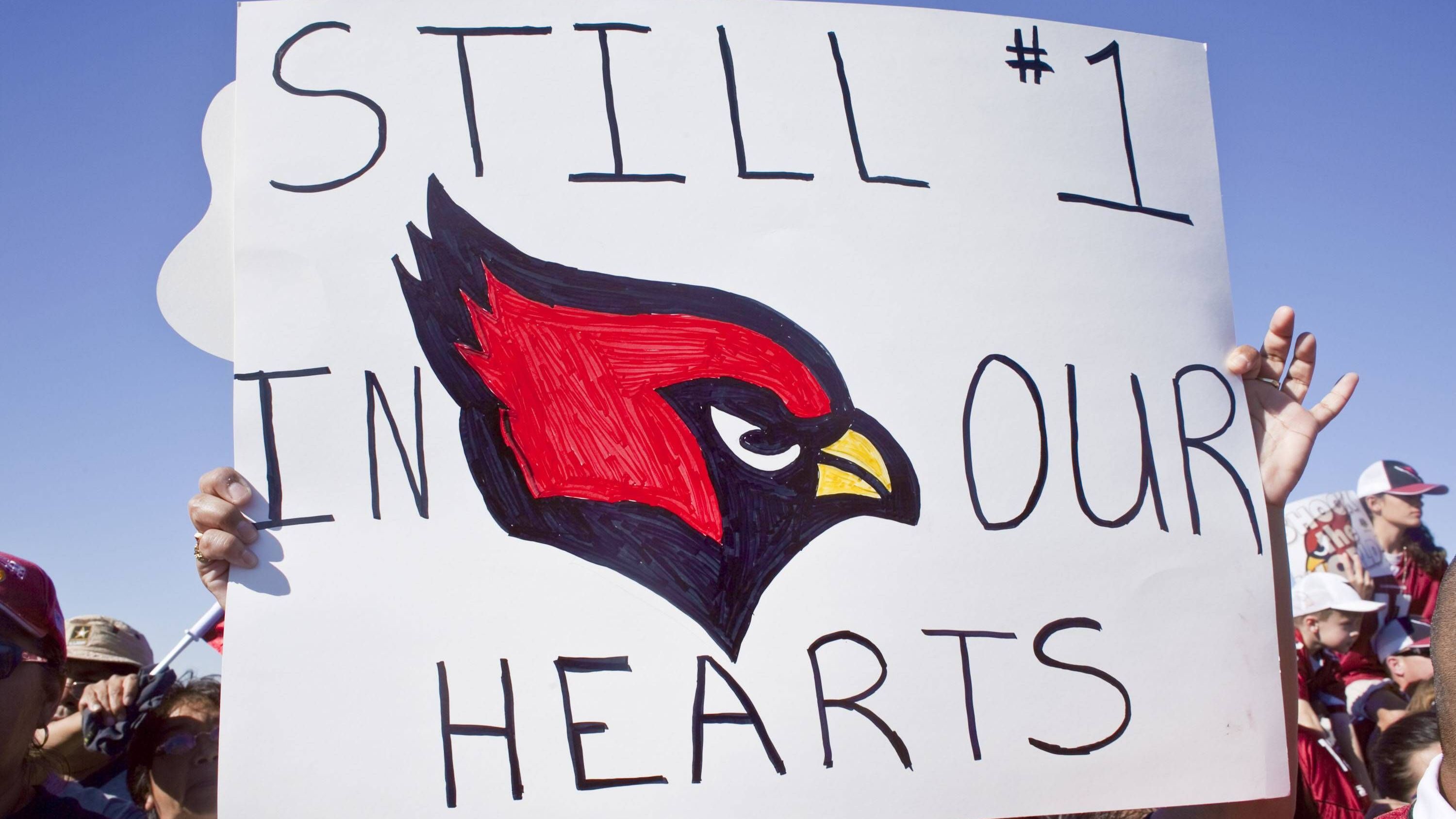 <strong>Arizona Cardinals: Super-Bowl-Einzug<br></strong>- Saison: 2008