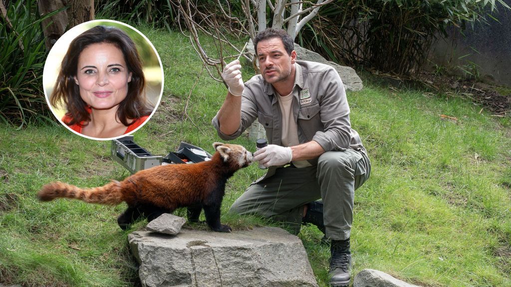  "Tierärztin Dr. Mertens" zurück im TV- woher du ihren neuen Kollegen Dr. Berger kennen könntest