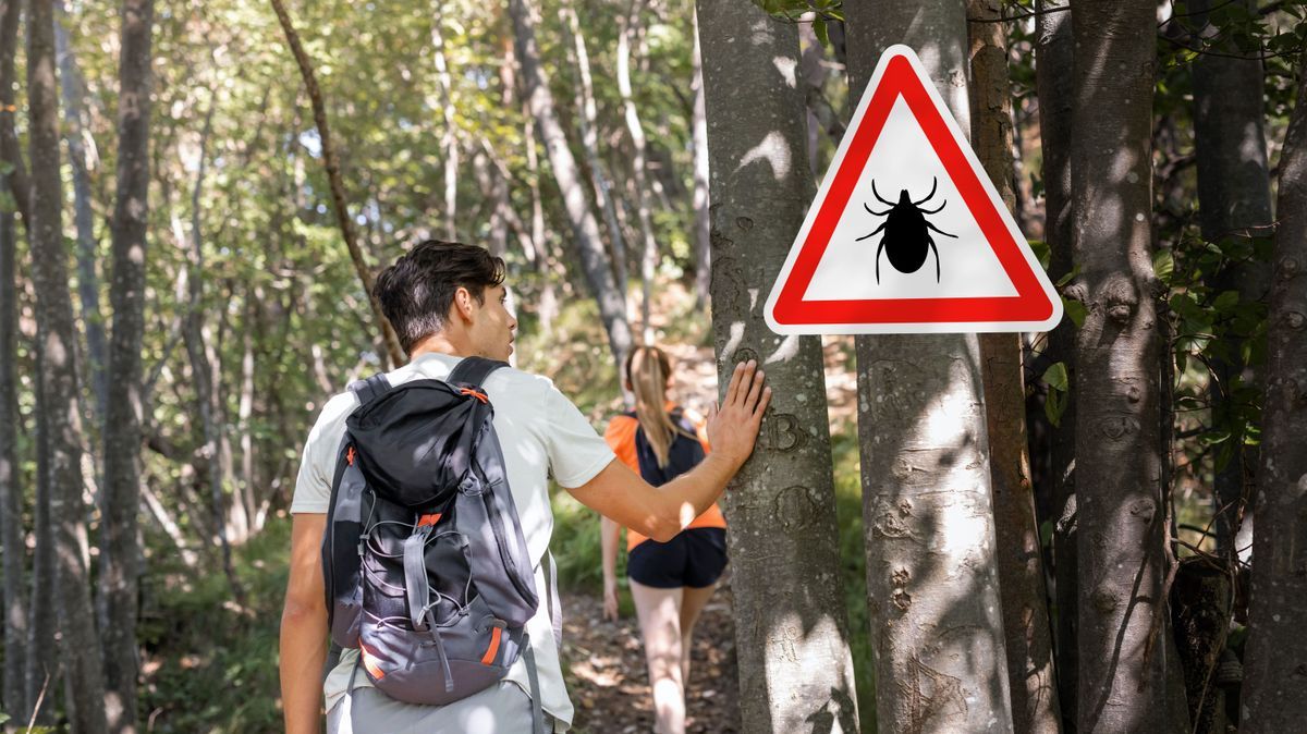 Man and woman hiking in Infected ticks forest with warning sign. Risk of tick-borne and lyme disease.