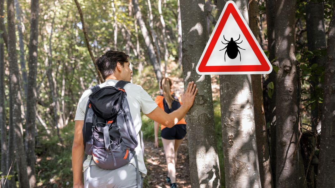 Jetzt, wo die Temperaturen steigen, sind Zecken wieder besonders aktiv. Erfahre, wie du dich schützt, was du bei einem Stich tun solltest und wie gefährlich Zecken wirklich sind.