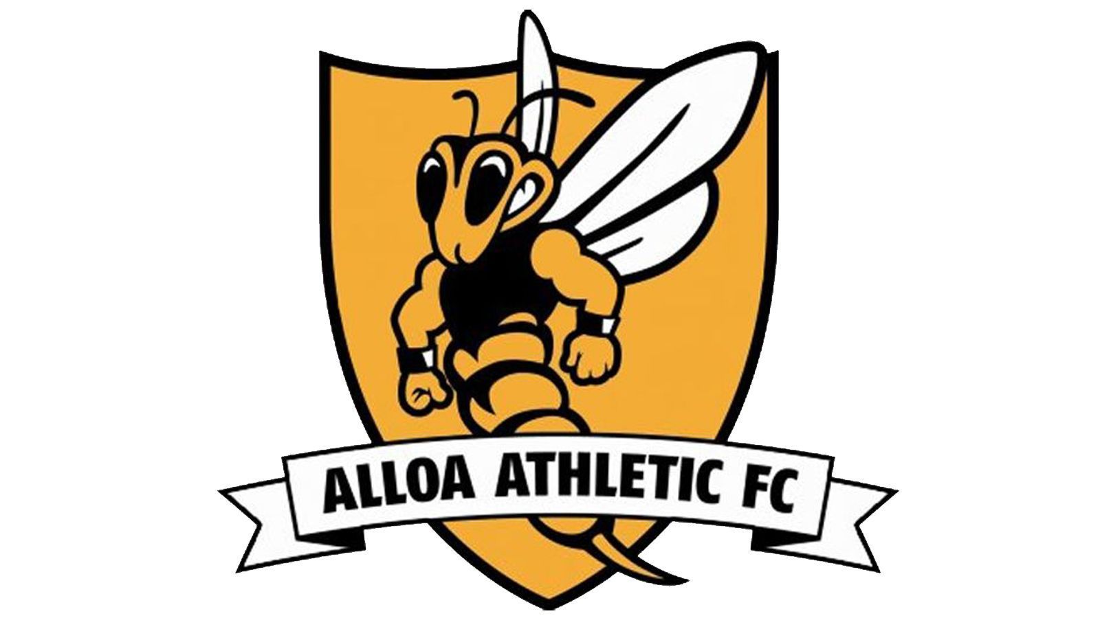 
                <strong>Die hässlichsten Vereinswappen der Welt </strong><br>
                Klub: Alloa Athletic FCLand: Schottland
              