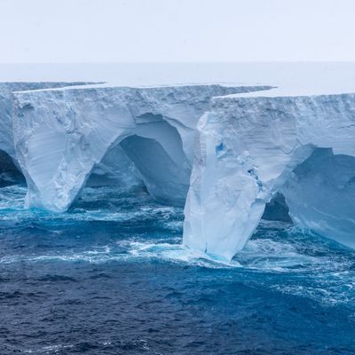 Spektakuläre neue Bilder vom derzeit weltweit größten Eisberg zeigen, wie Erosion riesige Bögen und höhlenartige Vertiefungen in den Koloss gemeißelt hat.